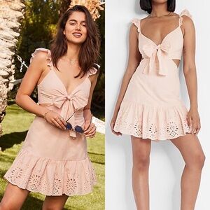 NWT Express Eyelet Embroidered Tie Front Mini Dress Cutout Pale Pink Size XL
